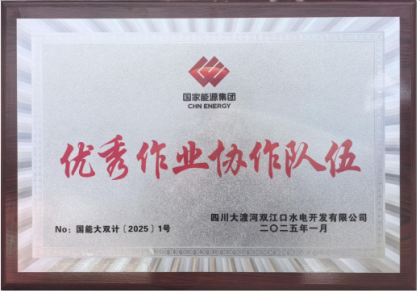   20251ҹ˾pˮվĿИs@(yu)I(y)f(xi)顱ĘsuQ̖